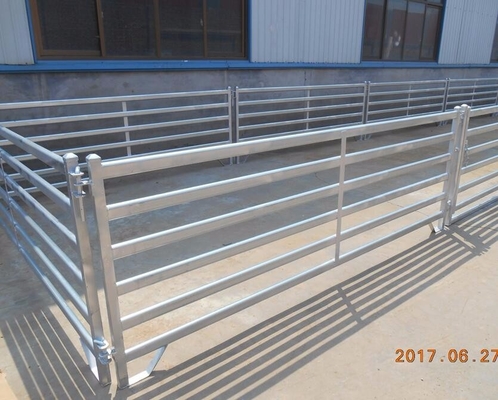 Recinto in serie Panels, pannelli portatili del bestiame galvanizzato 1.7m di acciaio al carbonio della capra