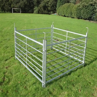 pannello galvanizzato economico del recinto per bestiame del recinto del cavallo dell'iarda del bestiame, pannello del bestiame
