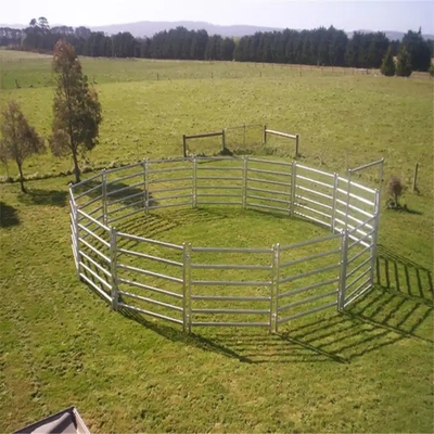 pannello galvanizzato economico del recinto per bestiame del recinto del cavallo dell'iarda del bestiame, pannello del bestiame