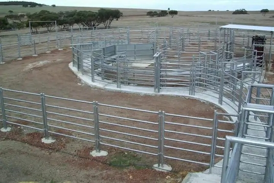 Il recinto rotondo Panels Heavy Duty del bestiame del metallo della metropolitana 6ft ha galvanizzato il recinto per bestiame