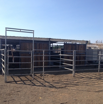 Portale galvanizzato pesante per bestiame / portale per bestiame 1,7 m