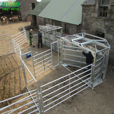 Pannelli di recinzione per bestiame zincati a caldo da 1,6 m con perni/alette accessori