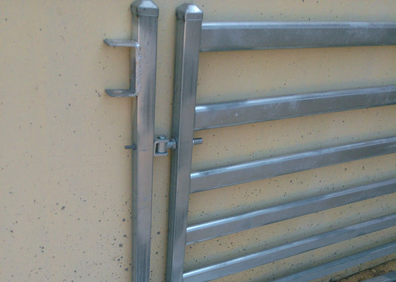Pannelli di recinzione per bestiame zincati a caldo da 1,6 m con perni/alette accessori
