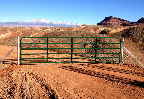 il recinto di filo metallico del bestiame di 1500mm Panels Hot Dipped ha galvanizzato l'acciaio