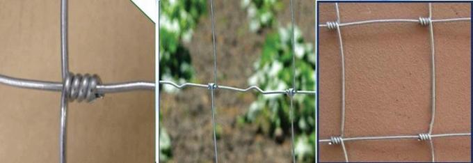 ultime notizie sull'azienda L'ALTO BESTIAME GALVANIZZATO PIENO delle PECORE di VELDSPAN 1.2M RIPARATO ANNODA il RECINTO del CAMPO  1