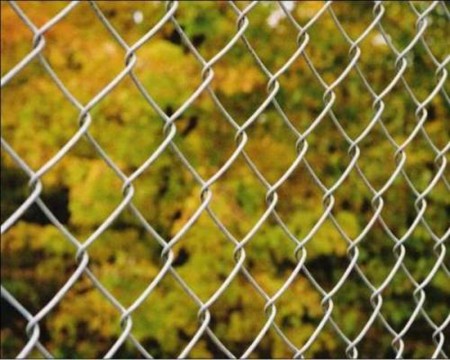 ultime notizie sull'azienda Mesh Security Chain Link Fence  1