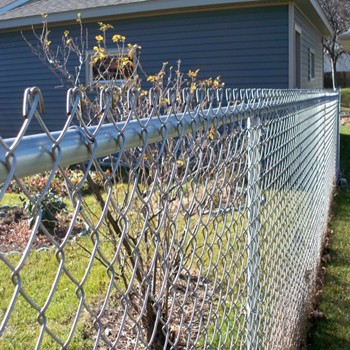 ultime notizie sull'azienda Mesh Security Chain Link Fence  3