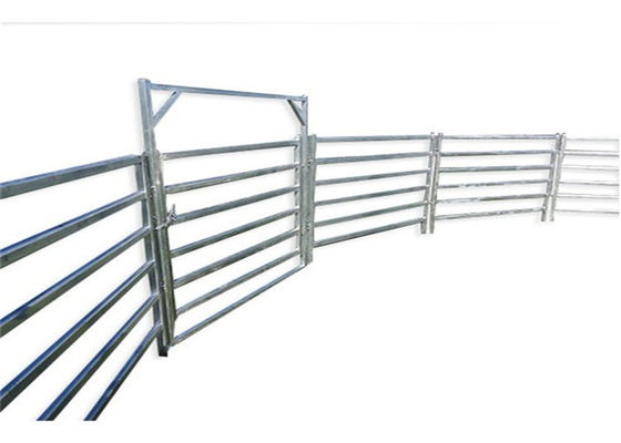 qualità  Welded Livestock Fence Panels Fabbrica