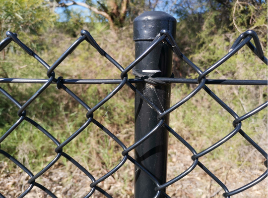 Recinzione galvanizzata in PVC rivestita a catena per recinzioni agricole