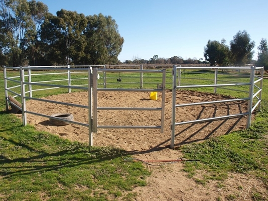 Pannelli di recinzione per bestiame in acciaio zincato da 1,6 m saldati per azienda agricola