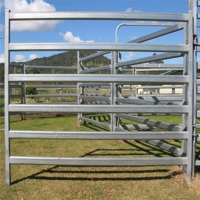 Il PVC ricoperto ha galvanizzato il bestiame del metallo di 12ft riveste il metallo di pannelli resistente intorno al recinto dell'iarda del cavallo di Pen Cattle Corral Livestock Farm