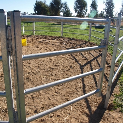 Pannelli resistenti di vendita caldi del recinto per bestiame del recinto/cavallo del pannello del bestiame di U.S.A. 12 Ft