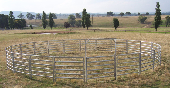 Il bestiame riveste il maiale di pannelli basso ovale di 6 Antivari il bestiame di recinto di filo metallico che ha galvanizzato il recinto Panels del bestiame