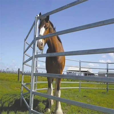 I cavalli recinto Panels Hot Dip del bestiame di 1.8m x di 2.1m hanno galvanizzato il tubo
