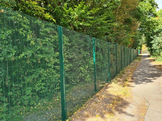 Recinzione di sicurezza antifurto antifurto 358 Pannello trasparente verniciato a polvere
