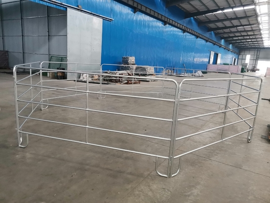 Il PVC della prova del roditore ha ricoperto il recinto Panels Metal del bestiame