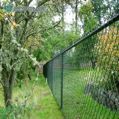 Tecnica Fence galvanizzata a 5 piedi con rete di filo rivestito in PVC e galvanizzazione a caldo