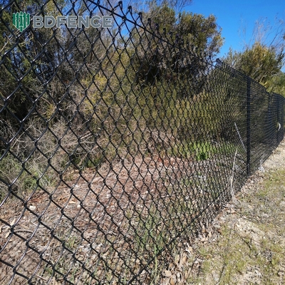 6ft Altezza Diamante Mesh Chain Link Recinzione Ideale Per Il Giardino Verde Farm Tipo Quadrato Post
