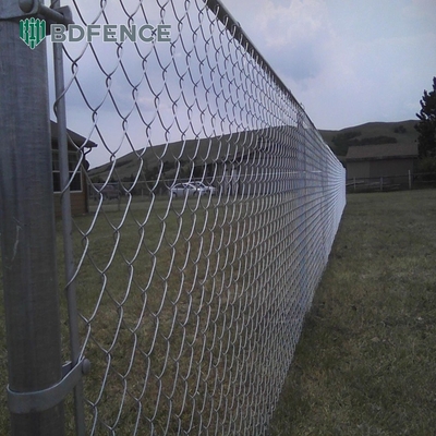 4FT 5FT 6FT 2m 8FT Campo agricolo Recinzione galvanizzata a legame a catena Acciaio Fence a maglia metallica