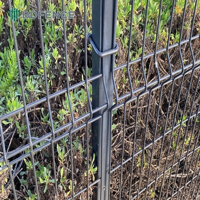 Sicurezza pannelli di recinzione a maglia di filo di ferro saldato 3d rivestiti in polvere di PVC metallico curvo