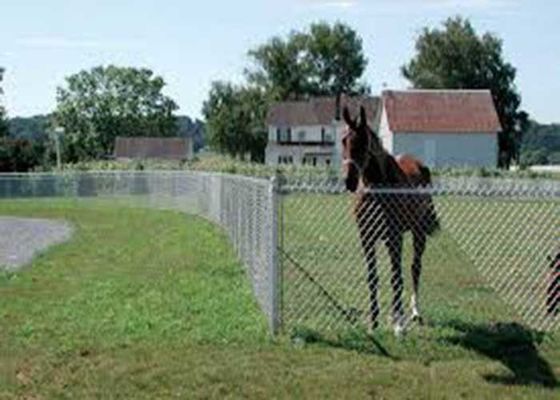 Vendita calda Sport Campo di baseball Fence di legame a catena di diamanti galvanizzata