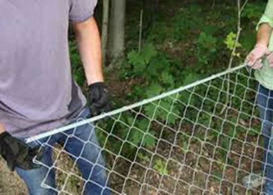 Vendita calda Sport Campo di baseball Fence di legame a catena di diamanti galvanizzata