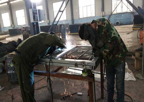 Decorazione giardino basso 3D Acciaio filo galvanizzato recintato recinzione a Sliver