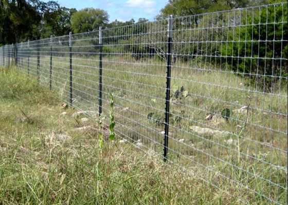 Posta fissata d'acciaio dipinta verde di altezza 2.4m Q235 T