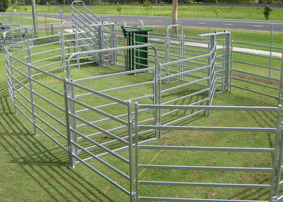 Recinto quadrato Panels del bestiame del tubo H1.8m di multi funzione