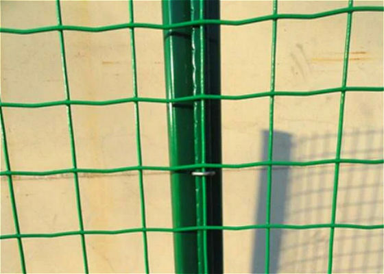 50*50mm Mesh Welded Wire Fence Panels olandese