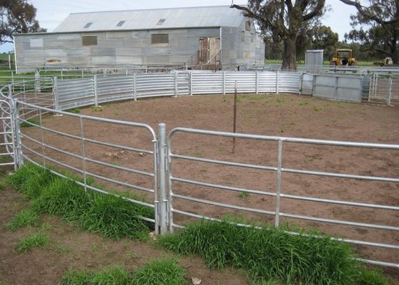 recinto Panels del bestiame del metallo galvanizzato 3 rotaie