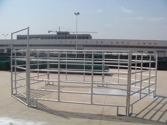La metropolitana quadrata H1800mm ha saldato il recinto del portone del bestiame