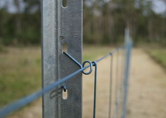 1500 mm di acciaio Y posti galvanizzati per recinzione del giardino