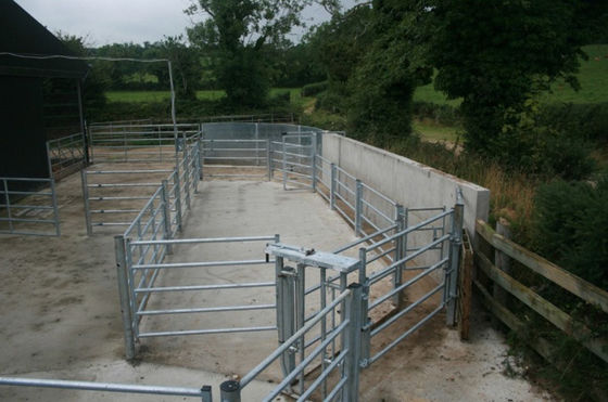 Il bestiame di lunghezza di iso 2.1m recinta l'azienda agricola di Panels For Livestock