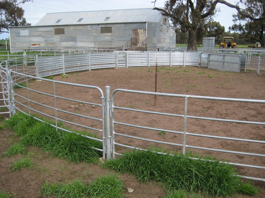 Recinto temporaneo galvanizzato Panels del recinto per bestiame del cellulare 1.7m