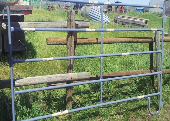 La recinzione temporanea del recinto per bestiame del giardino 1.6m riveste il ferro di pannelli di zootecnia