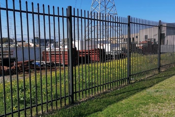 Recinzione tubolare standard australiana Spade di sicurezza superiore di acciaio