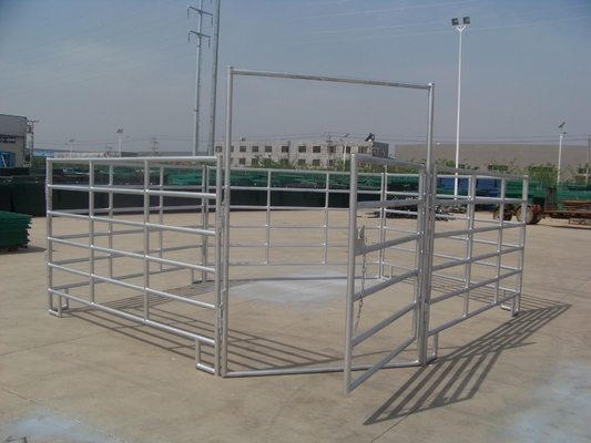 Del bestiame di Iso9001 Cetifiction 5ft recinto di filo metallico la saldatura di Panels Round Pipe galvanizzata